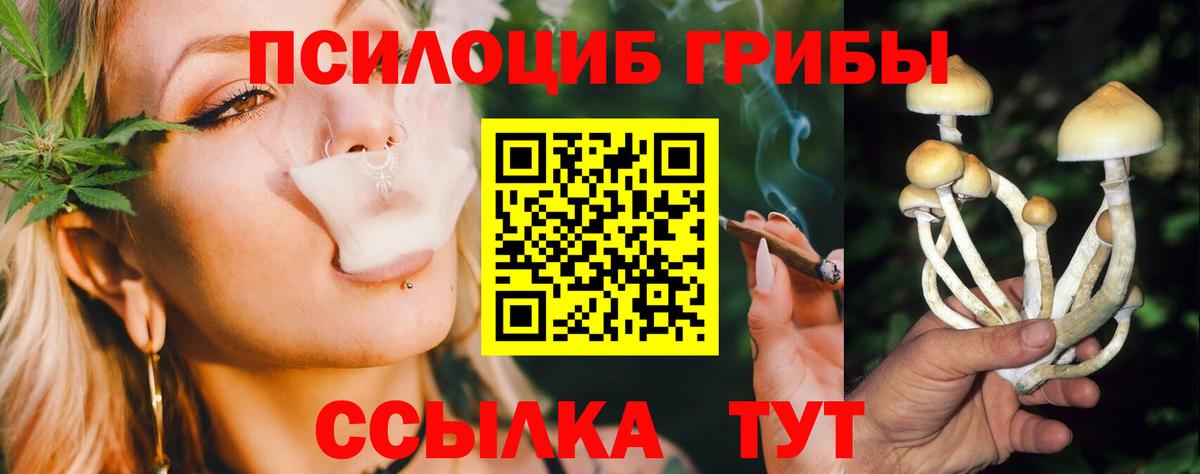 Пушкино  Псилоцибиновые грибы мицелий  продажа наркотиков  Вход с VPN 