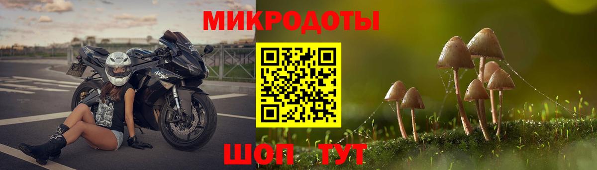 Псилоцибиновые грибы MAGIC MUSHROOMS Пушкино